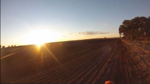 Sunset over paddock